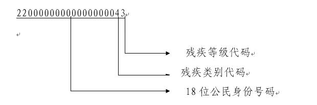 图为残疾证件号码剖析图